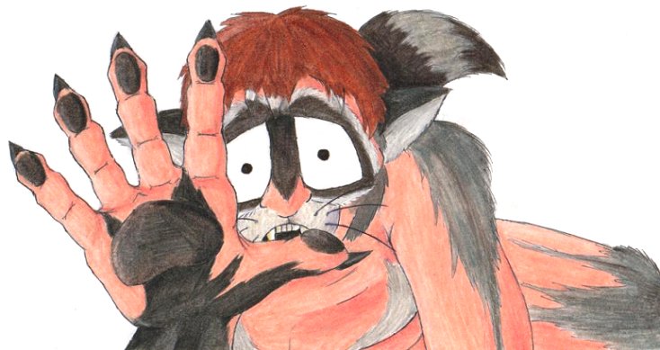 RaccoonEyes by Foxx