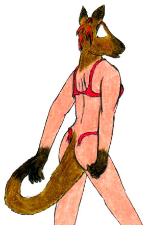 Roo by Foxx