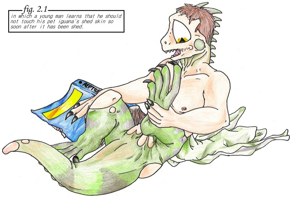 Skinned by Foxx