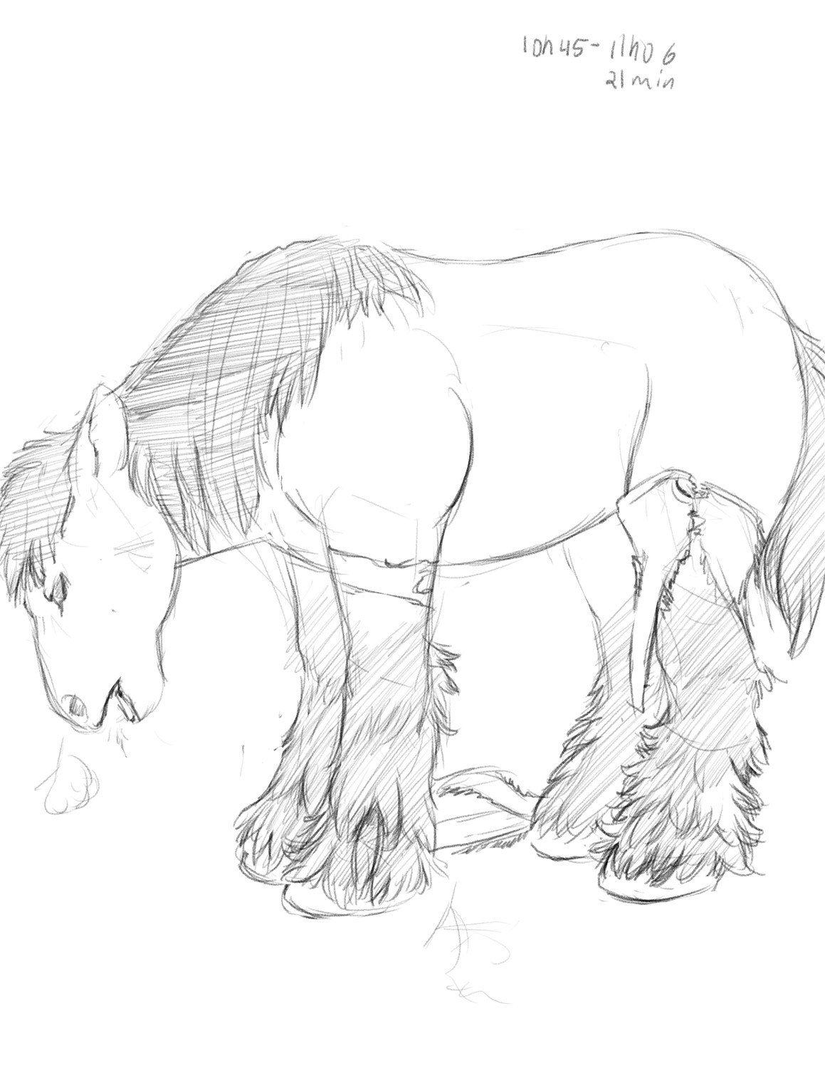 Commission: Horse TF for Dragoniade by Fringedog