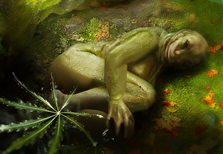 frog by Gryf
