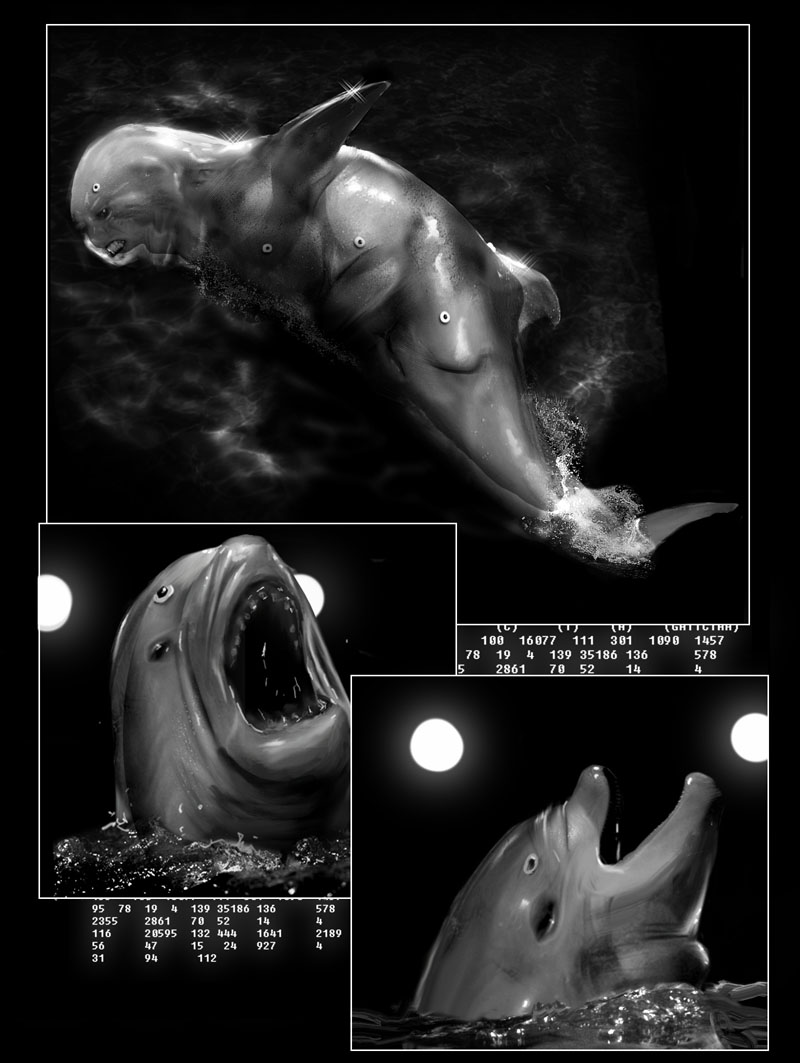 phin exp by Gryf