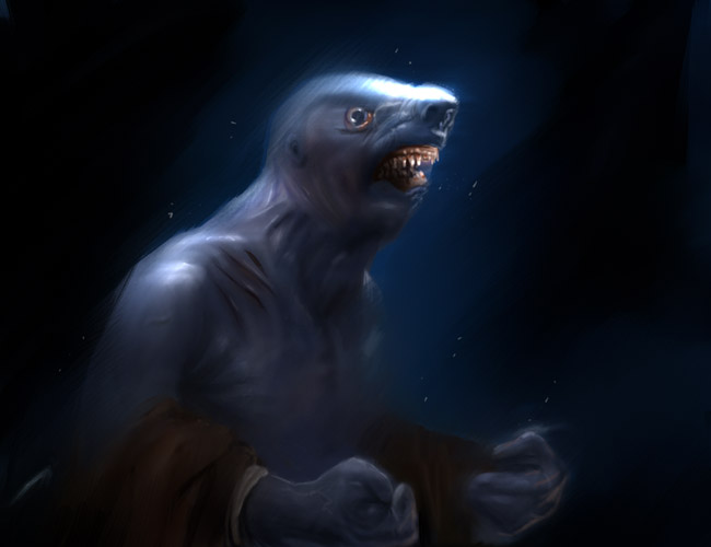 wereshark by Gryf