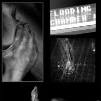 Sequence Image 5