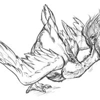 Sequence Image 11