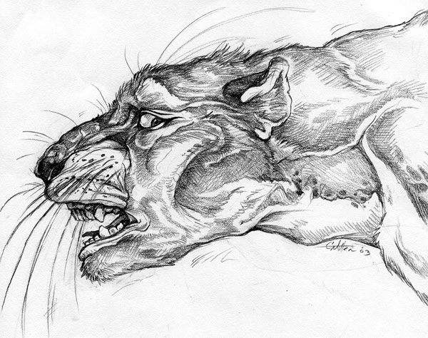 wereotter by Hyenashifter