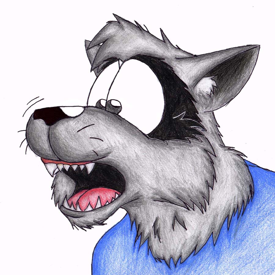 raccoon by JWB