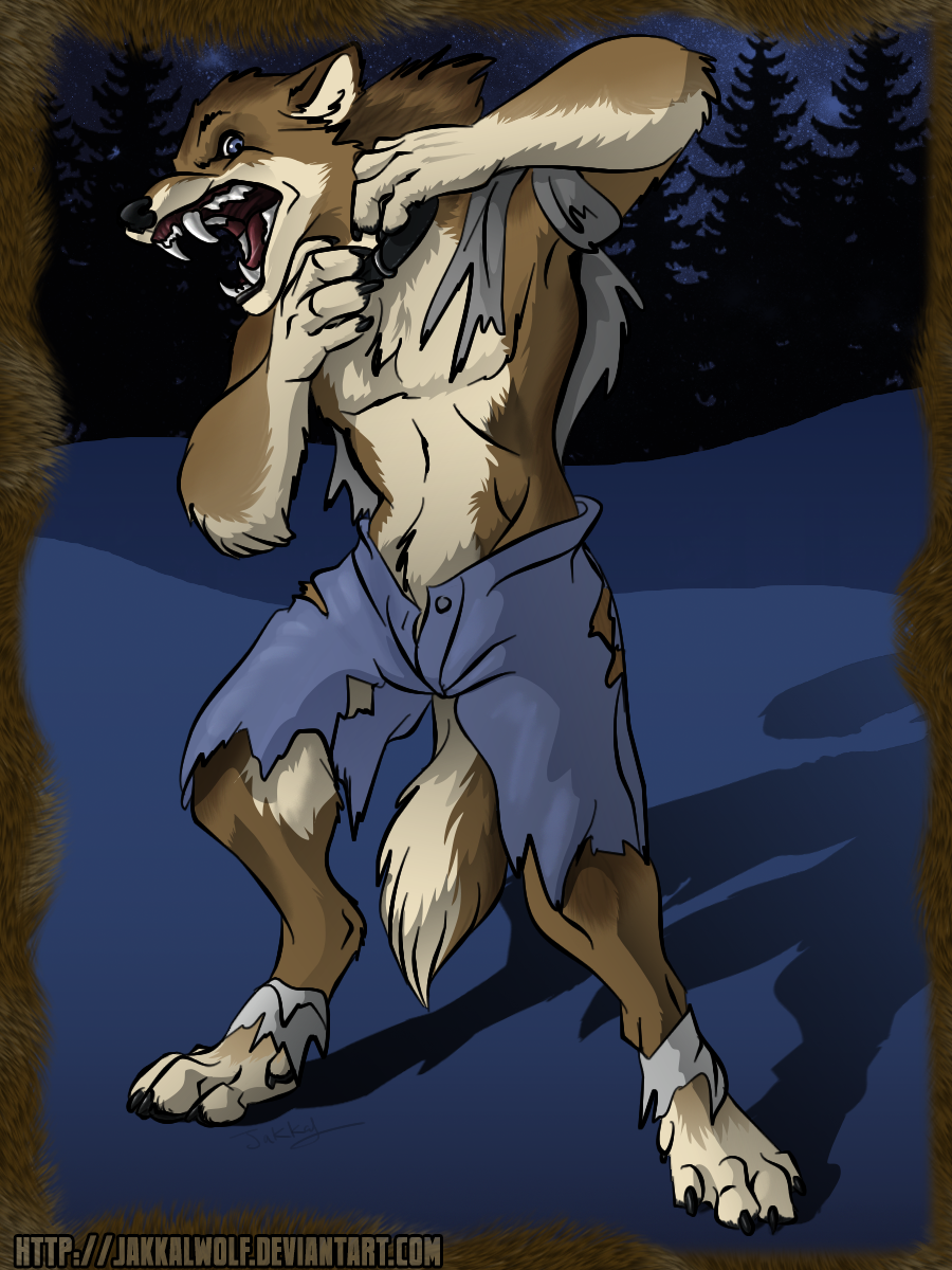 Commission: Human -> Werewolf by Jakkal