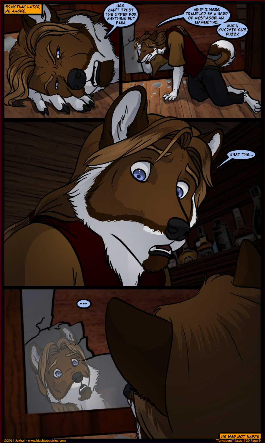Black Tapestries Issue 20 TF by Jakkal