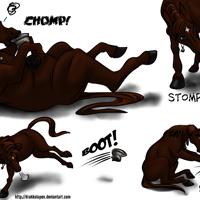 Sequence Image 21