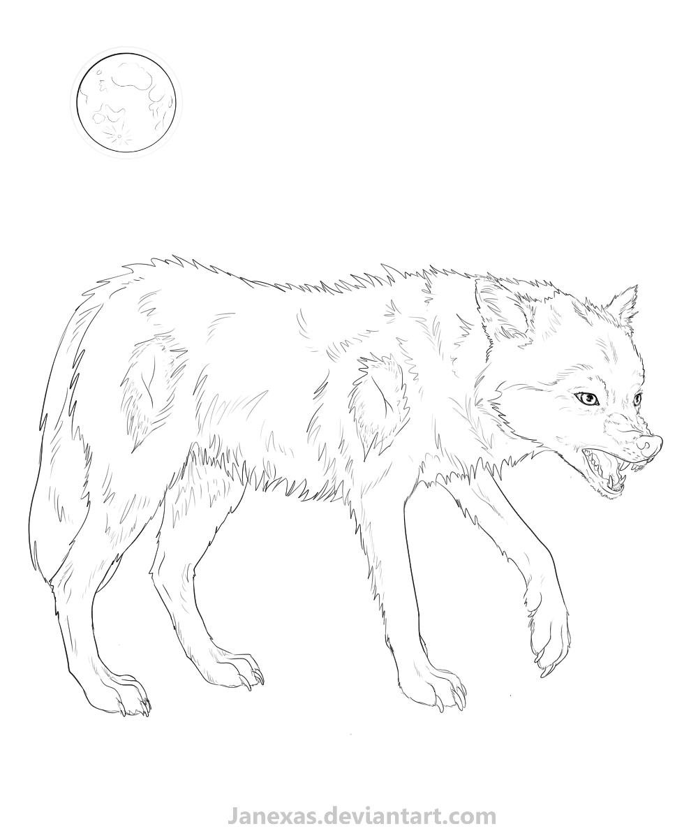 8 Stage Werewolf Commission by Janexas