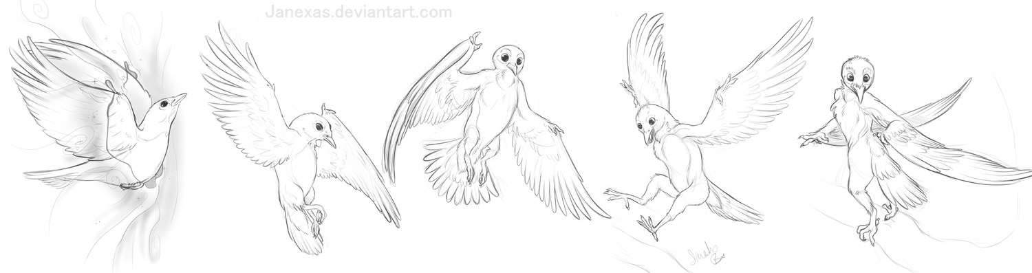 A Bit Of Feathery Magic  - For EHH123 by Janexas
