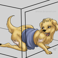 Sequence Image 7