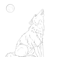 Sequence Image 9