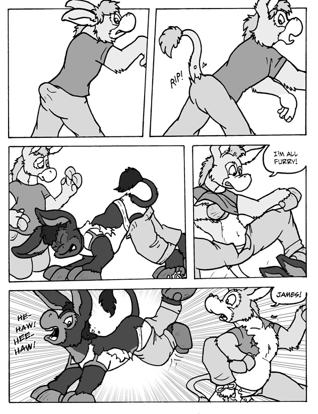 JTdonkey by KelvinTheLion