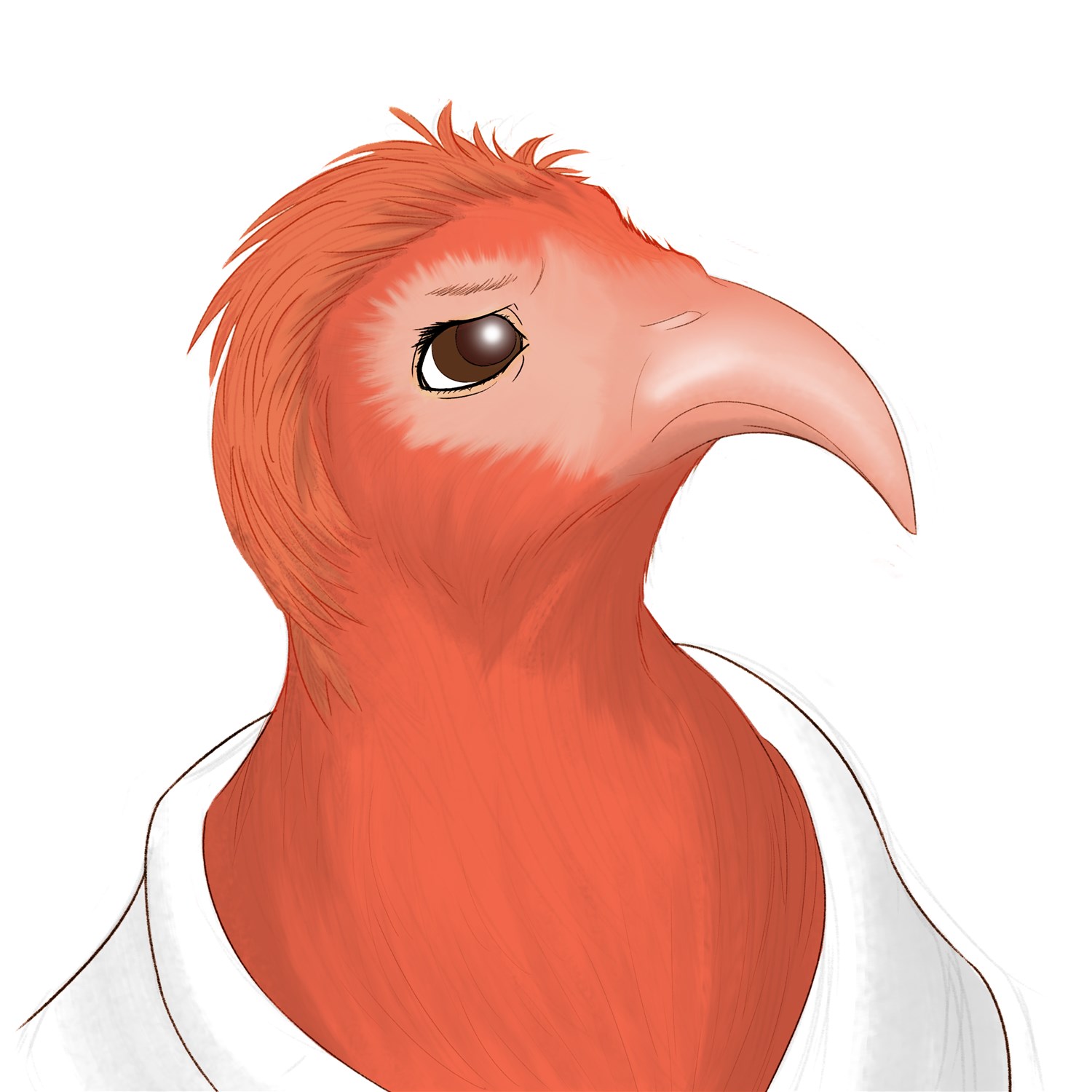 Headshots by KrazyIvan