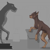 Sequence Image 2