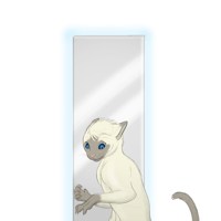 Sequence Image 3