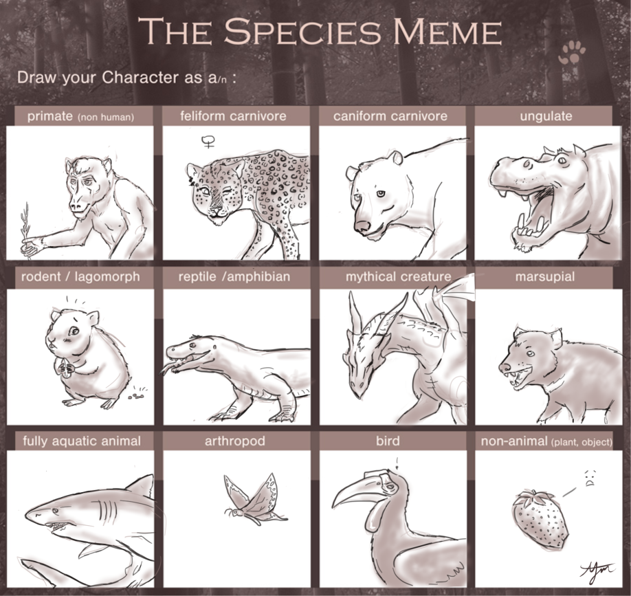 Species meme by Kuzim