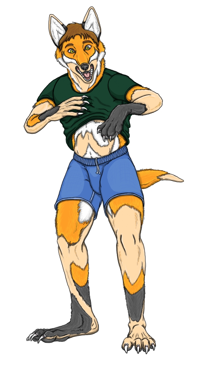 Summer Werefox Transformation by LanceFoxx
