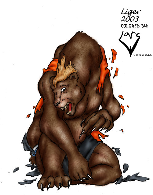 bearcolor by Liger