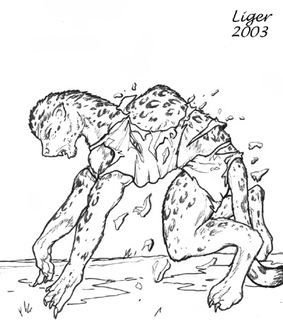 cheetahrun by Liger