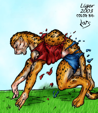 cheetahrundone by Liger