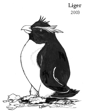 penguin by Liger