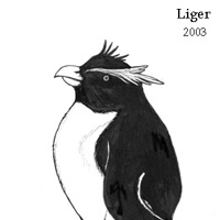 Sequence Image 5