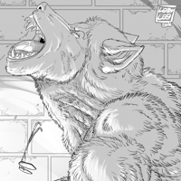 Sequence Image 4