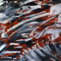 Sequence Image 5