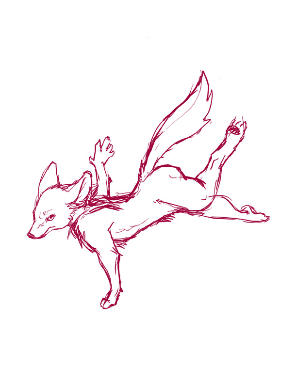 coyoterun by Mirandaleigh