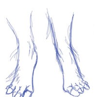 Sequence Image 3