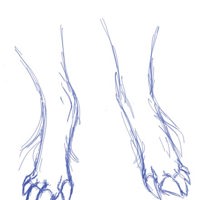 Sequence Image 4