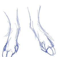 Sequence Image 5