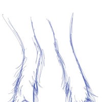 Sequence Image 6
