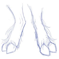 Sequence Image 7