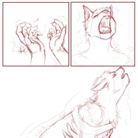 Sequence Image 3