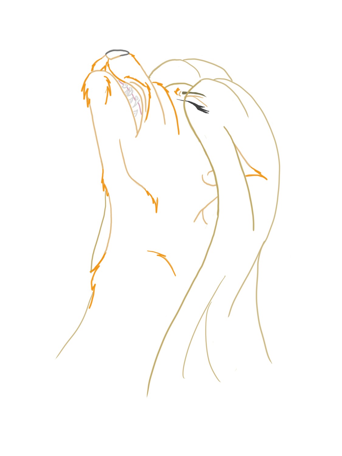 Werefox by Okamaru