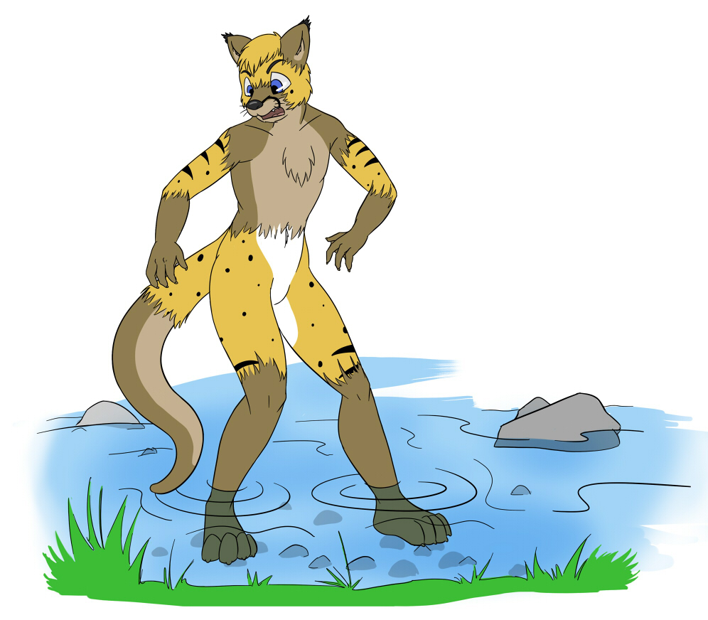 River Otter by Oter