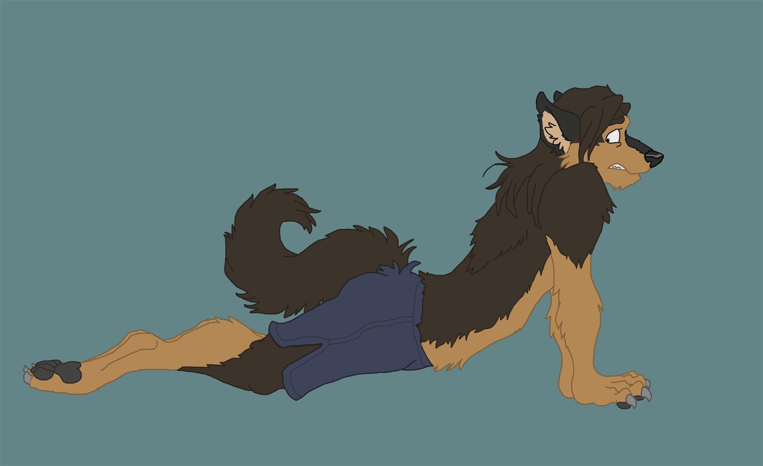 yogadog by PedestrianWolf
