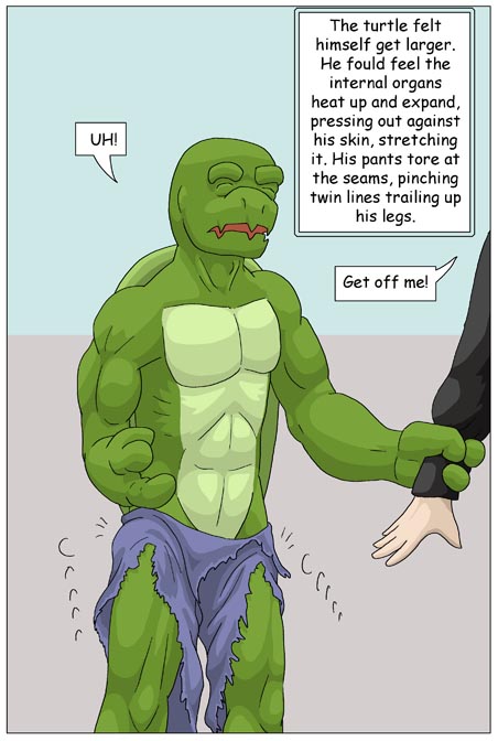 Subject To Change: Turtle Fan by PickleJuice