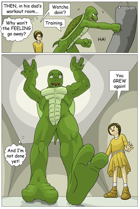 Subject To Change: Turtle Fan by PickleJuice