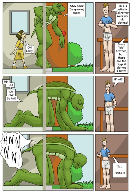 Subject To Change: Turtle Fan by PickleJuice