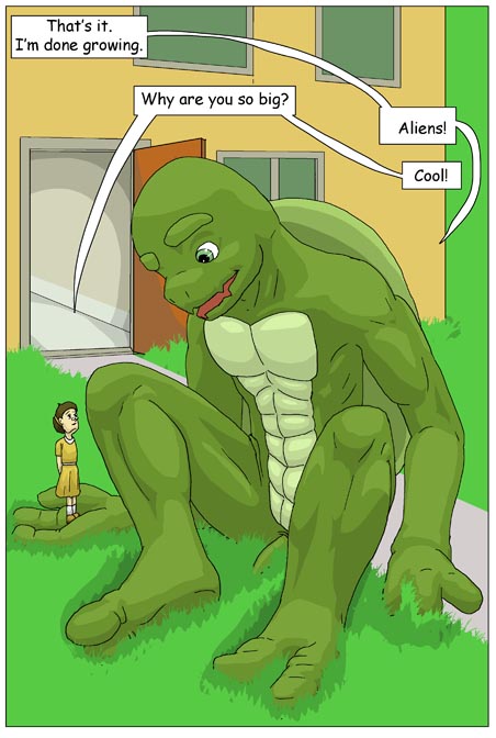 Subject To Change: Turtle Fan by PickleJuice