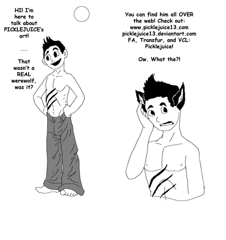Pamphlet 2009 by PickleJuice