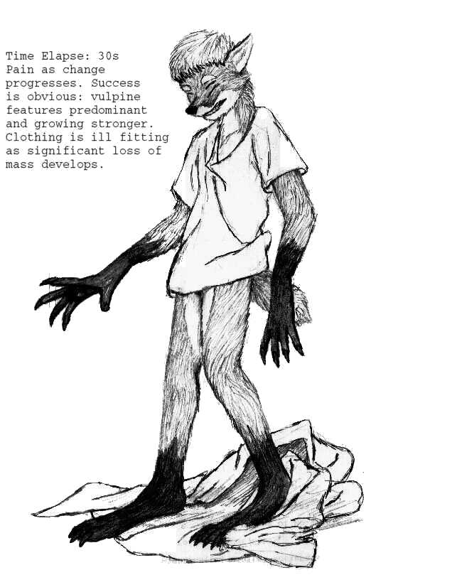 ericfox by PickleJuice