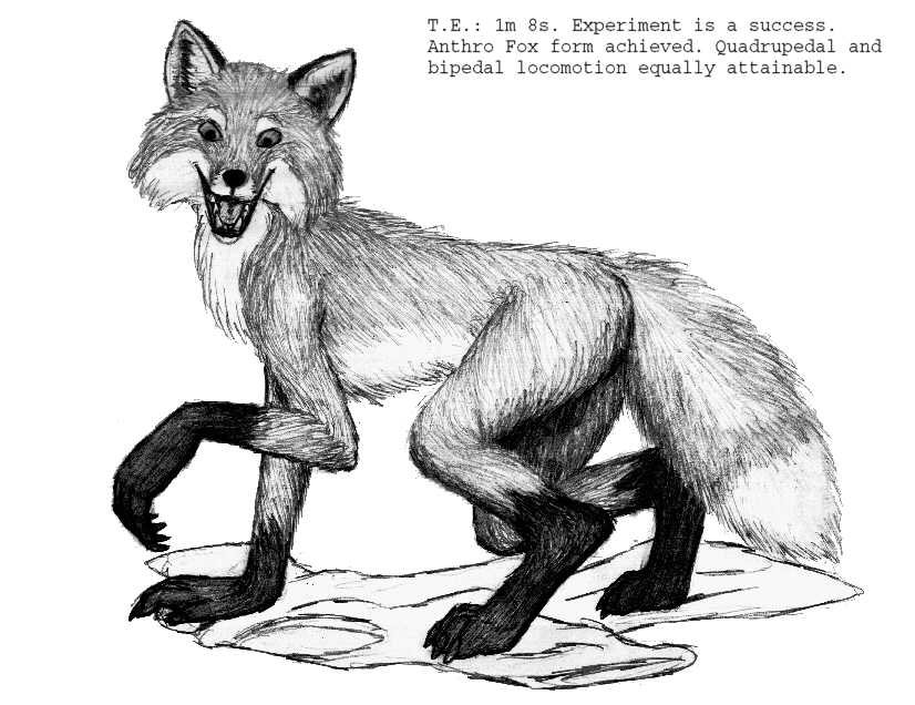 ericfox by PickleJuice