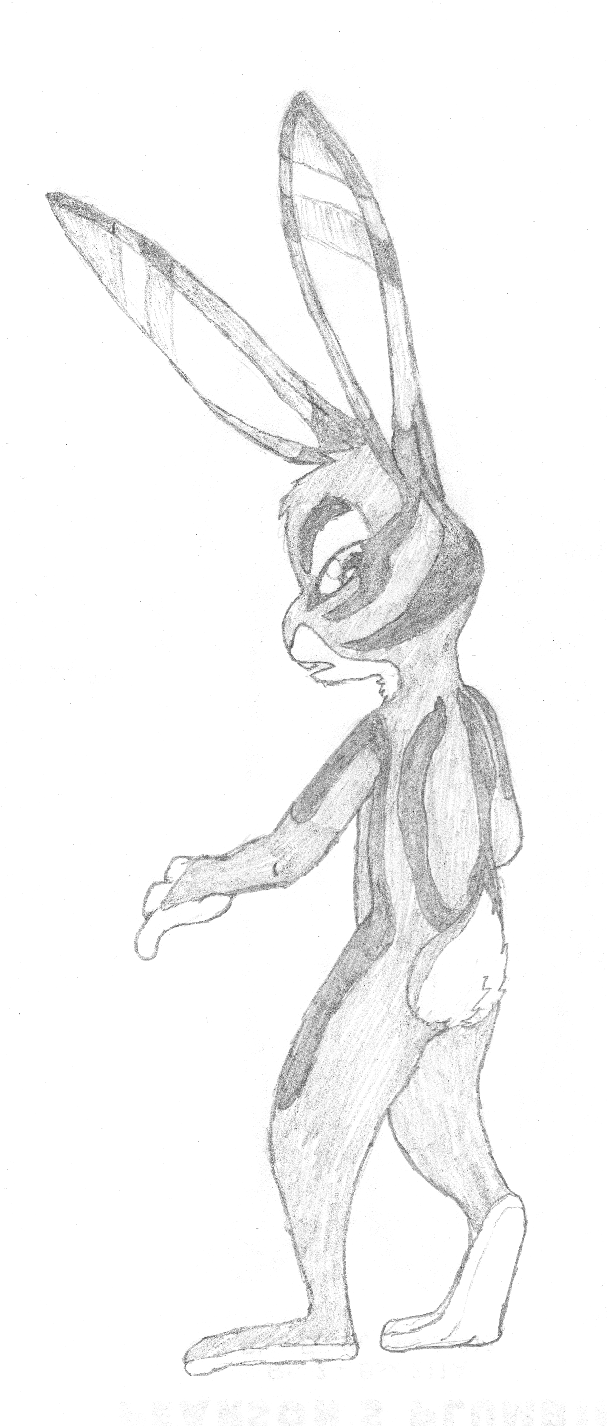 Sumatran Striped Rabbit by PickleJuice