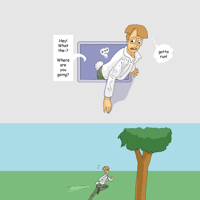 Sequence Image 8